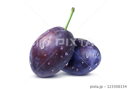 プルーン イラスト リアル プルーン イラスト リアル 123308154