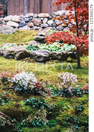 [古知谷 阿弥陀寺]きれいな緑色の苔 123308179