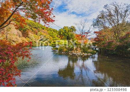 田原市にある滝頭公園の秋の紅葉した山と池の風景(愛知県) 123308498