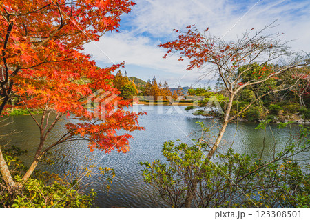 田原市にある滝頭公園の秋の紅葉した山と池の風景(愛知県) 田原市にある滝頭公園の秋の紅葉した山と池の風景(愛知県) 123308501