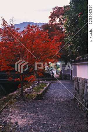 [三千院]ライトアップされた参道 123308514