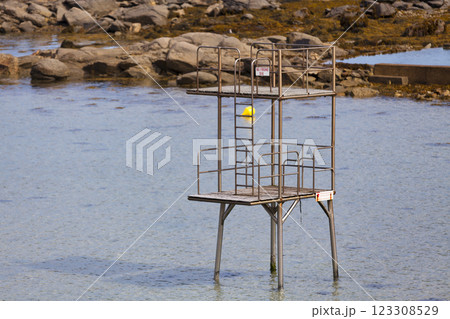 The Beach of Roc'h Kroum in Roscoff 123308529
