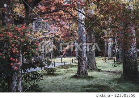 [三千院]美しい紅葉 123308550
