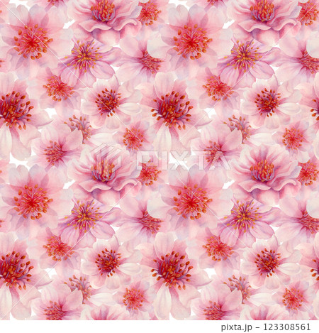 Flowers of a blooming spring tree in flight. Seamless pattern of cherry, apple, almond petals on a white background. Watercolor template for Hanami, spring, textile, print, wallpaper, wrapping Flowers of a blooming spring tree in flight. Seamless pattern of cherry, apple, almond petals on a white background. Watercolor template for Hanami, spring, textile, print, wallpaper, wrapping 123308561