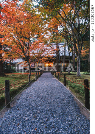 [三千院]色鮮やかな紅葉と歴史的な建物 123308567