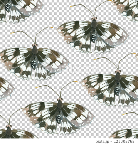 Seamless watercolor pattern. Insects, butterflies black and white hand-drawn with watercolor and isolated on a white background. Suitable for printing on fabric, paper, stationery and scrapbooking. Seamless watercolor pattern. Insects, butterflies black and white hand-drawn with watercolor and isolated on a white background. Suitable for printing on fabric, paper, stationery and scrapbooking. 123308768