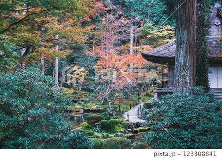 [三千院]色鮮やかな紅葉 123308841