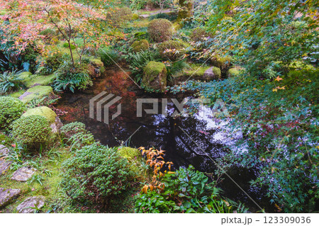 [三千院]美しい日本庭園 123309036