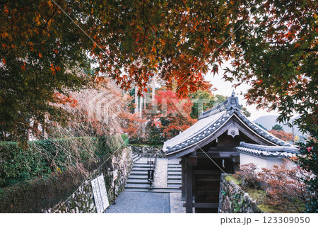 [三千院]京都の歴史深いお寺 123309050