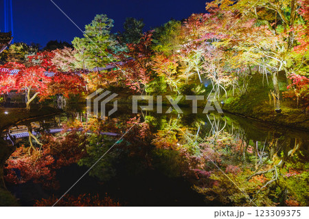 [高台寺]ライトアップされた美しい紅葉の風景 123309375