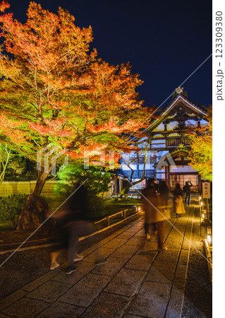 [高台寺]ライトアップされた美しい紅葉の風景 123309380