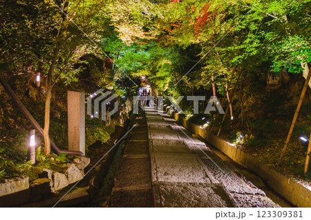 [高台寺]ライトアップされた美しい紅葉の風景 123309381