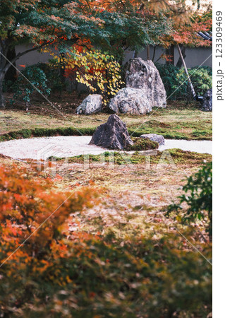 [高台寺]色鮮やかな紅葉が魅力の京都のお寺 123309469