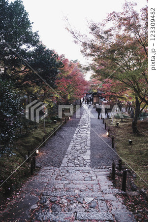 [高台寺]色鮮やかな紅葉が魅力の京都のお寺 123309482