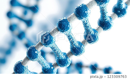 Exploring the intricate structure of DNA strands with detailed blue and white molecular representations Exploring the intricate structure of DNA strands with detailed blue and white molecular representations 123309763