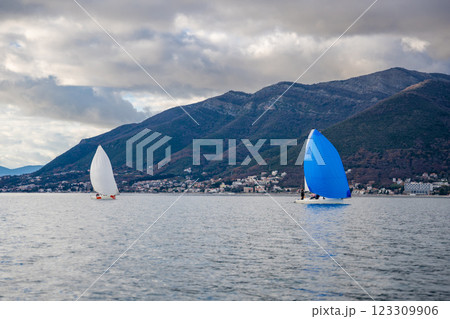 Two sailing boats with students and instructors training in the Kotor Bay, Montenegro, highlighting teamwork, adventure, and nautical education. 123309906
