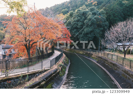 [琵琶湖疏水]明治時代の遺跡と美しい紅葉 123309949