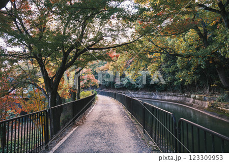 [琵琶湖疏水]明治時代の遺跡と美しい紅葉 123309953