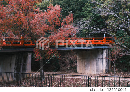 [琵琶湖疏水]赤い橋と色鮮やかな紅葉 123310041