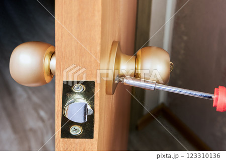 Screwdriver tightens screws securing door knob rose against wooden door face, facilitating lockset installation with visible latch assembly and finished hardware. 123310136