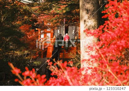 [毘沙門堂門跡]色鮮やかな紅葉と歴史的なお寺 123310247