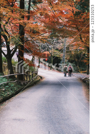 [毘沙門堂門跡]色鮮やかな紅葉と歴史的なお寺 123310253