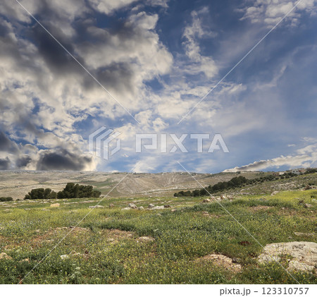 Typical mountain landscape, Jordan, Middle East  (photography from a high point). Against the background of a beautiful sky with clouds 123310757