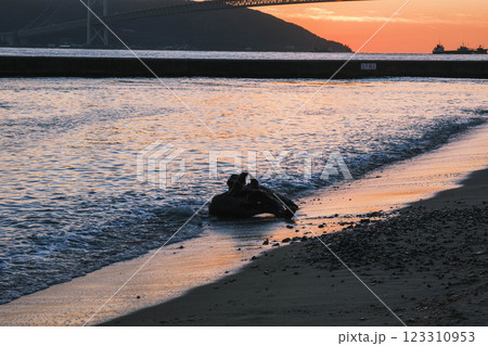 [アジュール舞子海水浴場]ビーチと漂流物 123310953