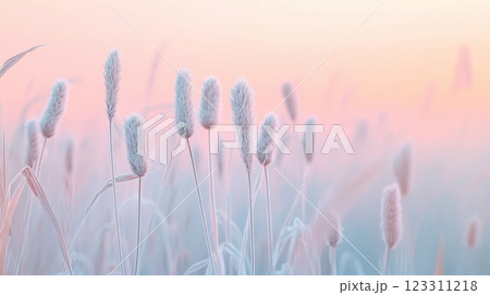 Cattails in the mist on an overcast lake at dawn, muted pastel colors.  Cattails in the mist on an overcast lake at dawn, muted pastel colors.  123311218
