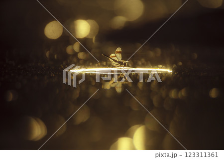 Dragonfly in middle of water at dawn with flakes in water 123311361