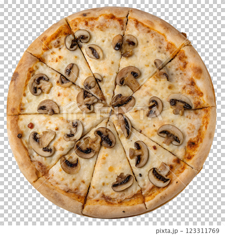 Delicious pizza with mushrooms isolated on transparent background, italian cuisine, cheesy, appetizing 123311769