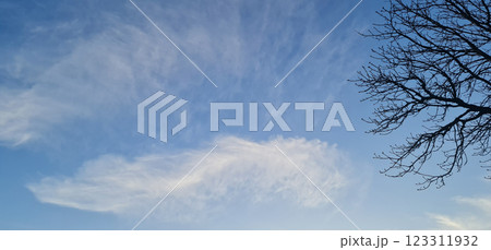 Cloud like feather on blue sky Cloud like feather on blue sky 123311932