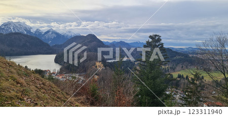View to the lake, castle and forest 123311940
