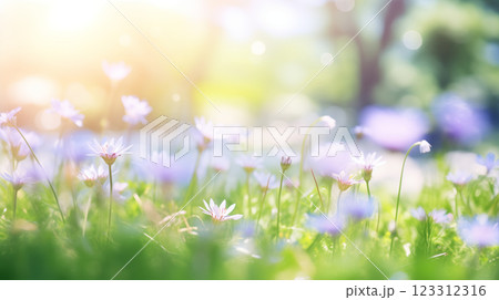 Wildflower meadow under blue sky on a sunny day 123312316