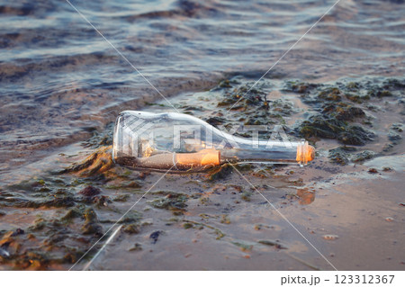 Message in a Bottle on the Shore 123312367