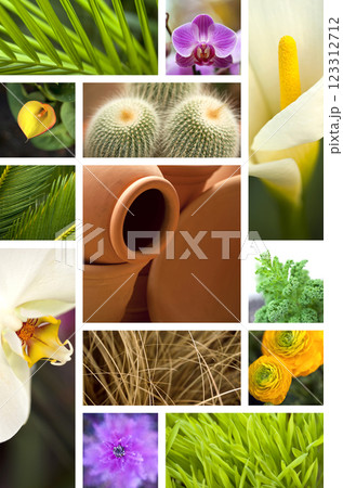 Flowers and plants Flowers and plants 123312712