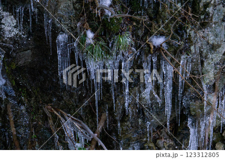 凍り付いた小さな滝 123312805