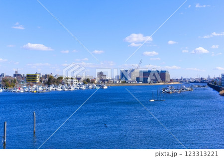 東京都江戸川区旧江戸川沿い2025年2月 123313221