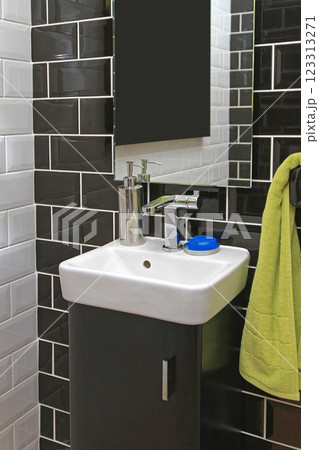 Tiny Home Bathroom 123313271