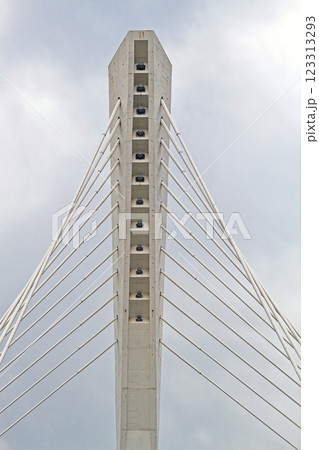 Suspension Bridge Pillar Podgorica Suspension Bridge Pillar Podgorica 123313293