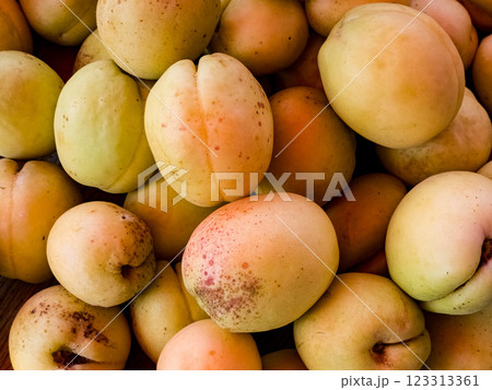 Heap of fresh ripe apricots Close-up Heap of fresh ripe apricots Close-up 123313361