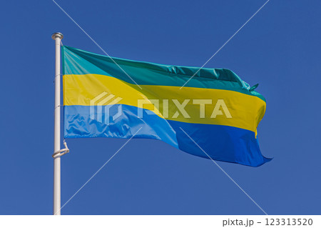 National Flag of Gabon National Flag of Gabon 123313520