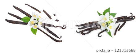 Vanilla sticks with flower and leaf isolated on white background. Top view. Flat lay 123313669