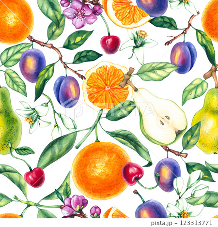 Botanical pattern watercolor with plants fruits and flowers 123313771