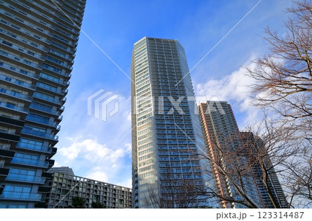 東雲のタワーマンション（東京都江東区） 123314487