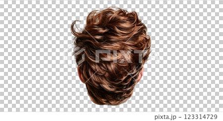 Wavy brown male hairstyle viewed from back isolated on transparent background 123314729