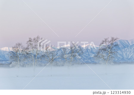 冬の朝焼け 123314930