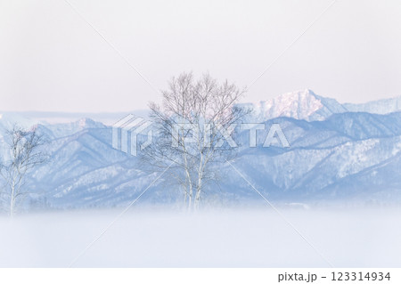 冬の朝焼け 123314934