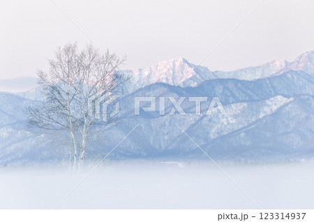 冬の朝焼け 123314937