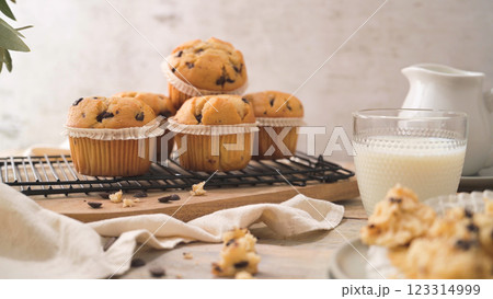 Chocolate chip muffins with milk 123314999